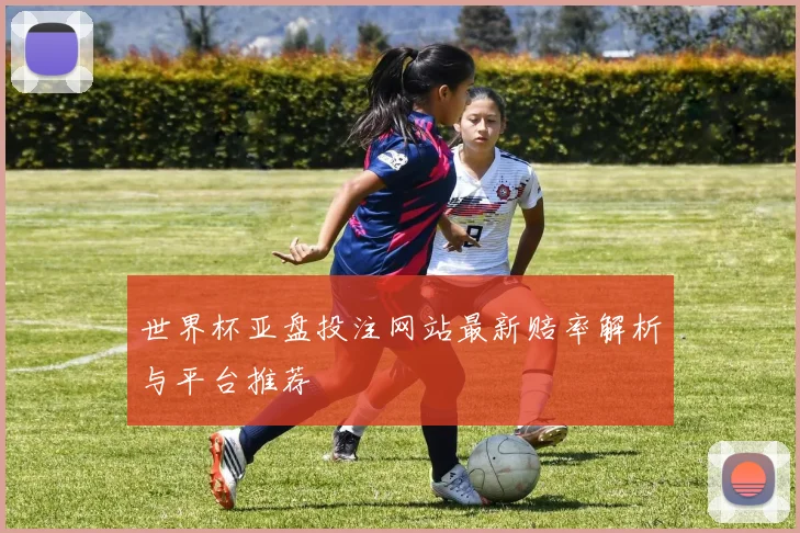 世界杯亚盘投注网站最新赔率解析与平台推荐